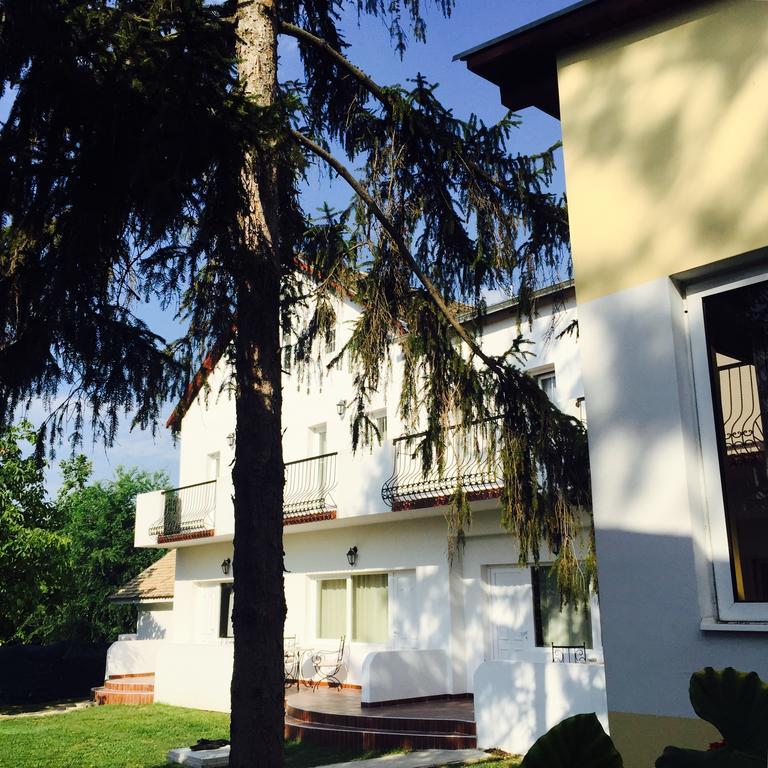 Villa Via Bečej Esterno foto